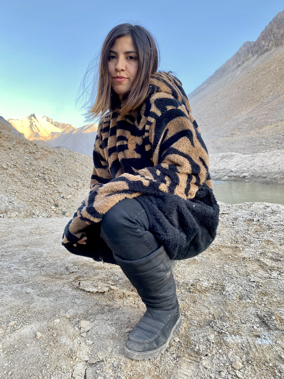 Coffi Zebra
