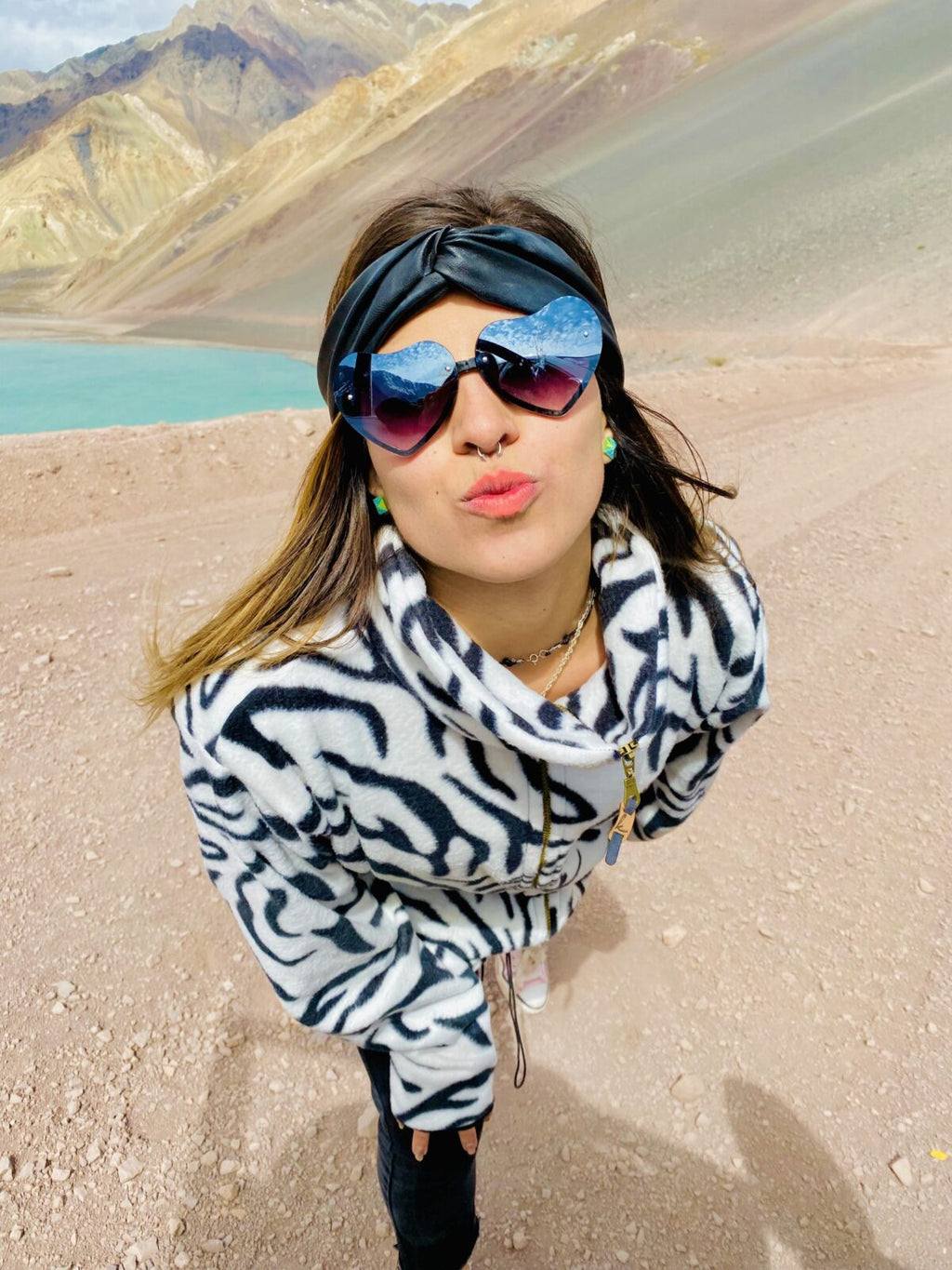 Polar Zebra