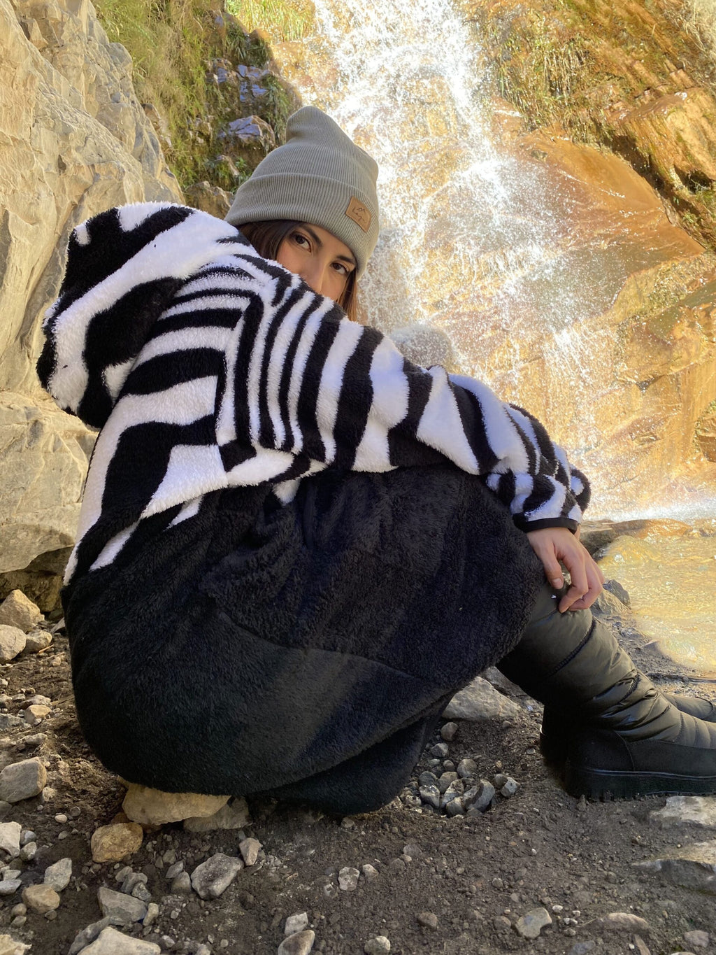 Maxi Zebra