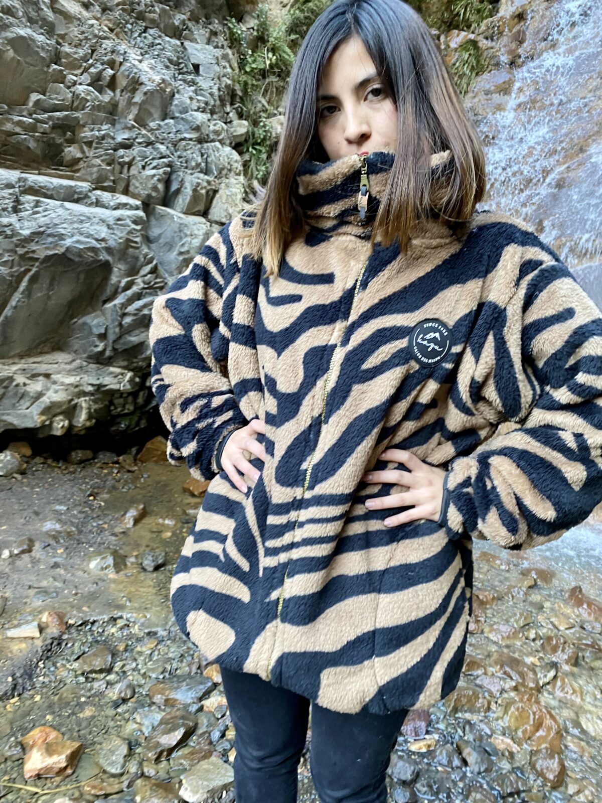 Dark Zebra