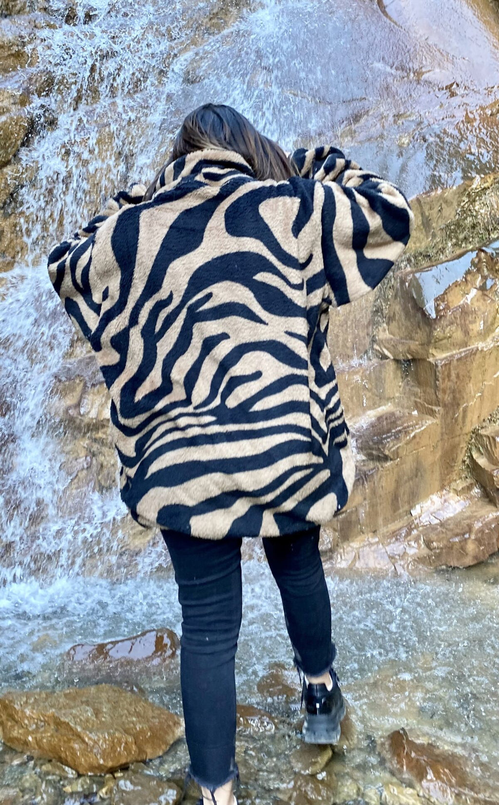 Dark Zebra