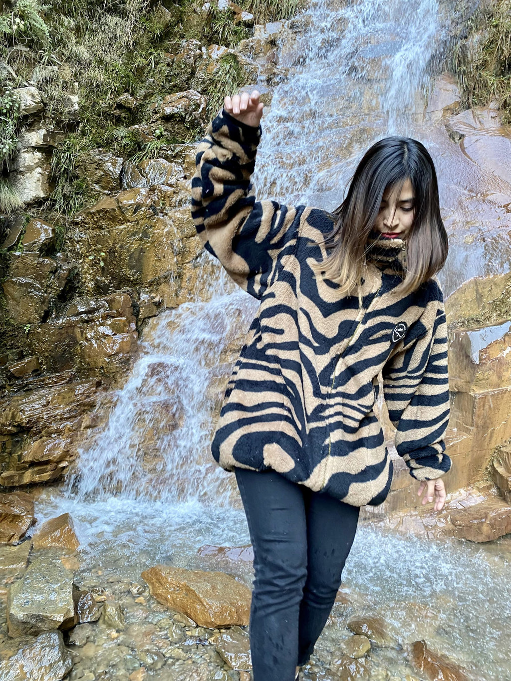 Dark Zebra