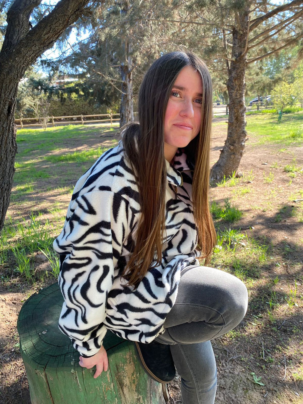 Polar Zebra