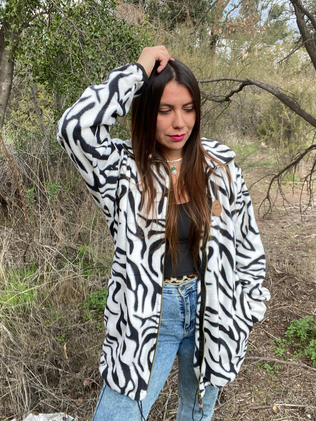 Polar Zebra